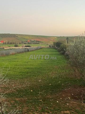 أرض مجهزة داخل المجال الحضري - 2