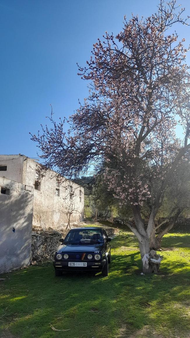 كولف 2   جوانط اليمنيوم   سالون جديد بزرق ...  