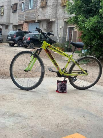 Vélo d'occasion pur à bon prix - 2