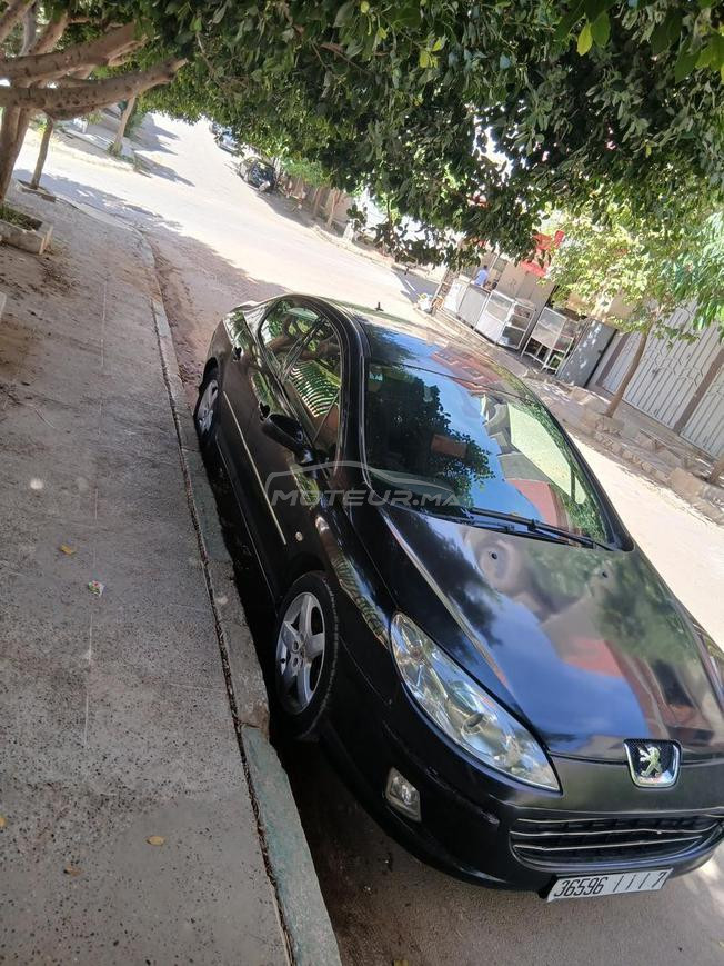peugoet 407