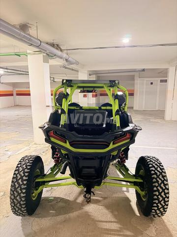 Buggy Polaris 1000