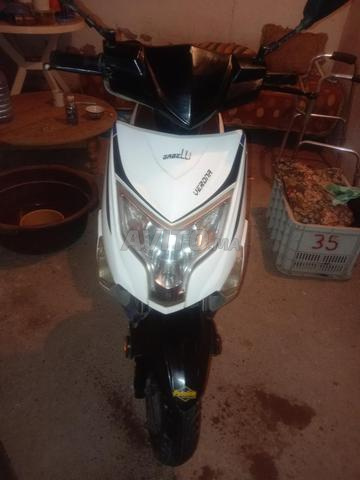 Scooter Verona - 2