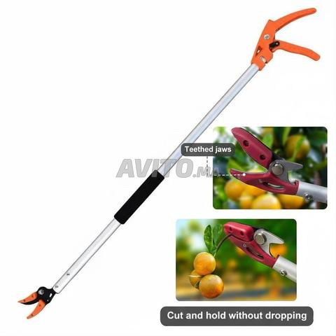 Sécateur à fruits rétractable pour branches hautes - 2