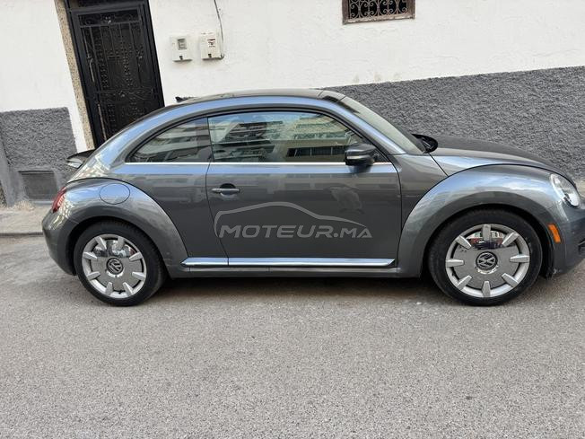 coccinelle 