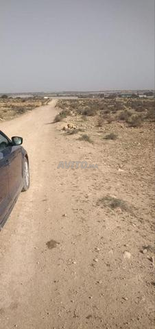 أرض للبيع بسيدي بيبي - 2
