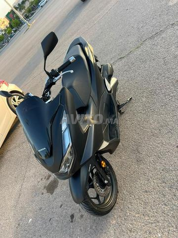 هوندا PCX 125 لعشاقها والمهتمين التواصل - 2