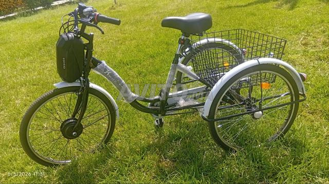 Tricycles électriques - 2