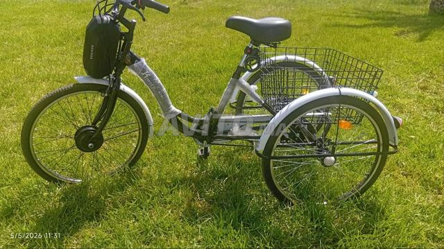 Tricycles électriques
