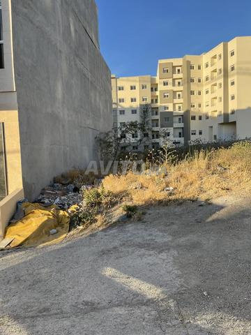 شارع مولاي رشيد أمام دار الصحافة - 2