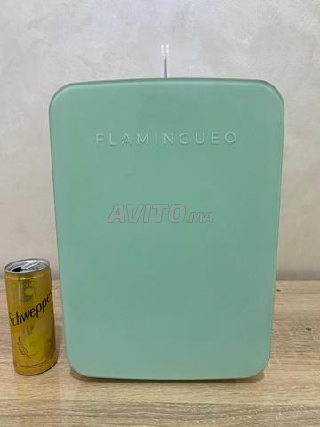 Mini Réfrigérateur 12V et 220V
