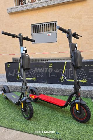 Trottinette Liner - 2