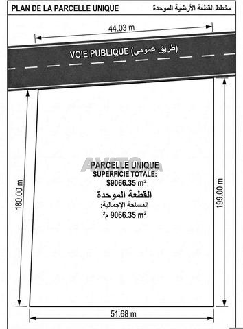 Oulad Youssef, environ un hectare sur route (eau électricité) - 2