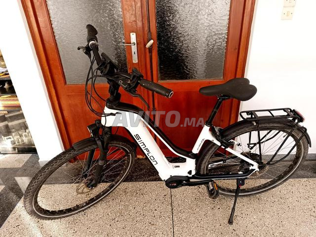 Simplon carbone 2024