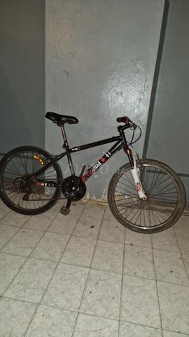 Disponible à Tanger . - 2