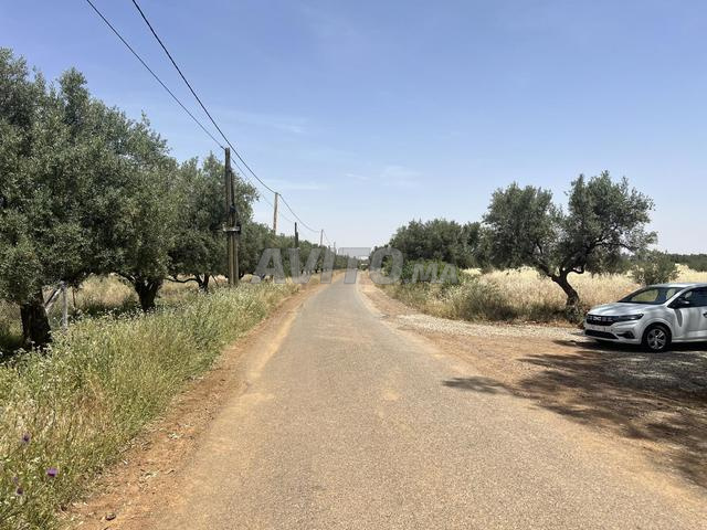 terrain 1774m2 - 2