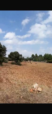 Terrain constructible agréé à vendre 211m² à Imouzzer Kandar
