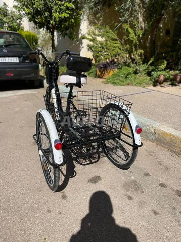 Vélo électrique tricycle - 2