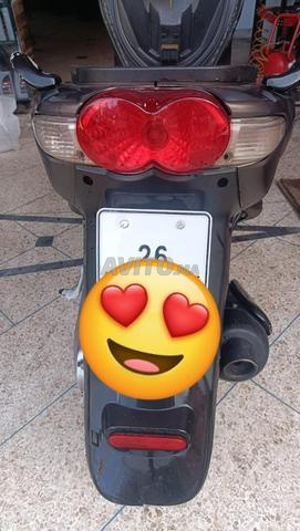 المحاميد 10