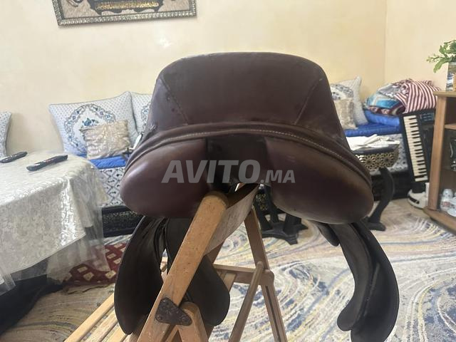 Selle CSO 17,5 Équitation - 2
