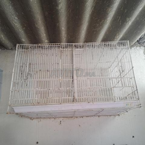 Les cages - 2
