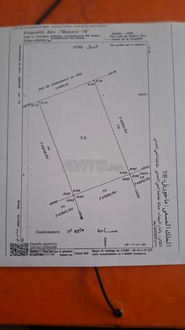 Terrain zone B5 383m² à côté de Cheikh Zayd Salouane - 2