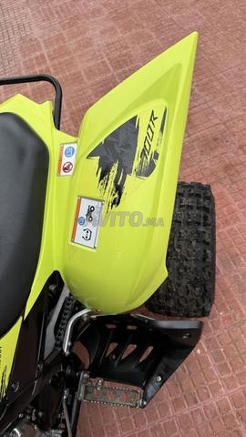Raptor 700