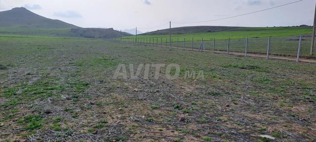 أرض فلاحية قرب مدينة مريرت - 2