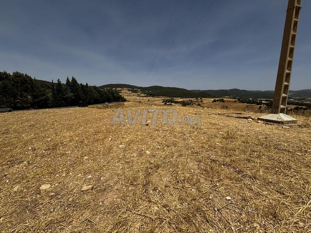 Vente terrain route de Jnane Mass Khenifra - 2