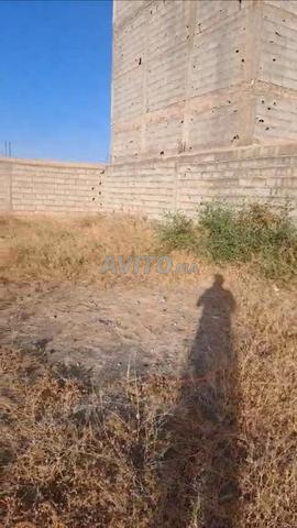 قطعة أرض 1000 متر مربع للبيع طريق ورزازات