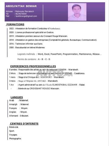 Chauffeur professionnel et polyvalent
