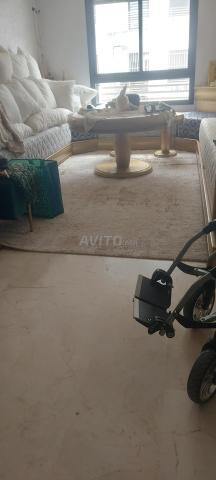 tapis salon