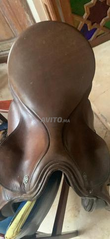 Selle de cheval