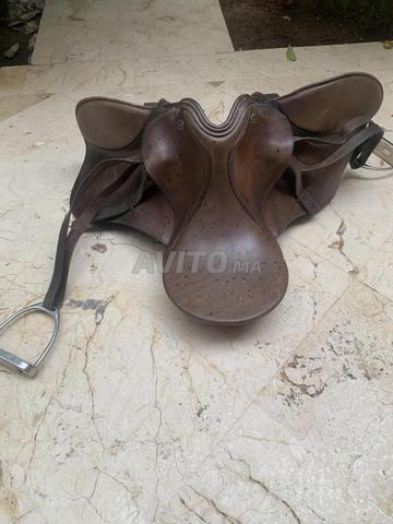 Selle de cheval - 2