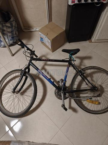 VTT professionnel - 2