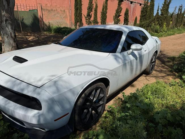 Dodge Challenger Essence Automatique 2023 V6