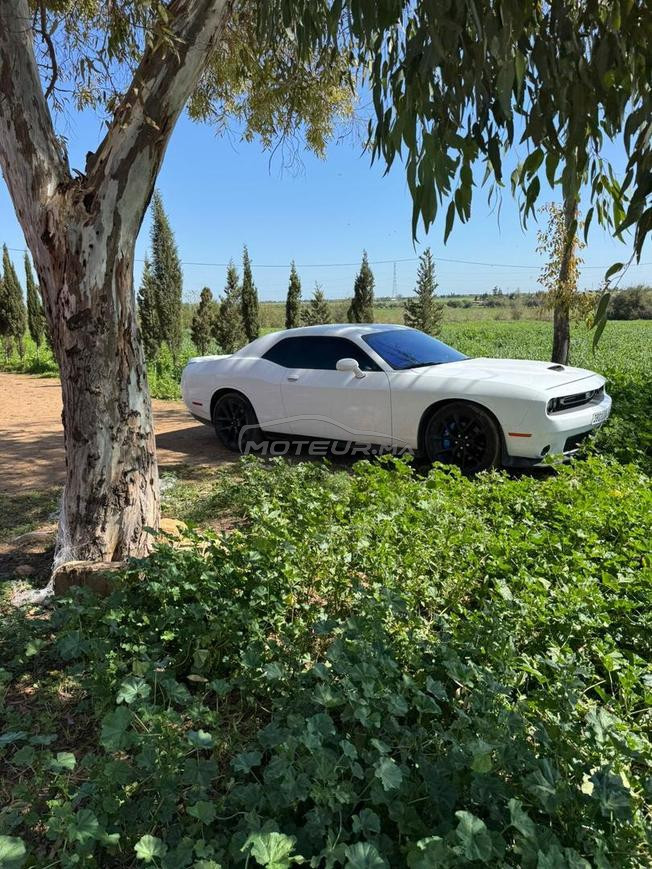 Dodge Challenger Essence Automatique 2023 V6