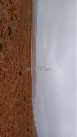 Terrain agricole à vendre à Guelmim