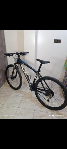 VTT taille L29 - 2