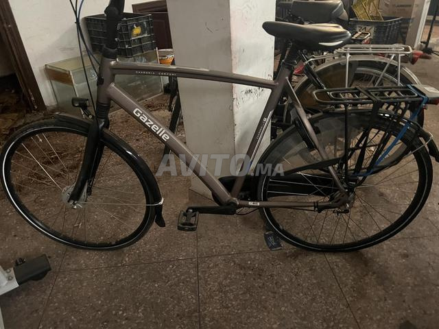 Chamonix C7 Gazelle Confort - 2