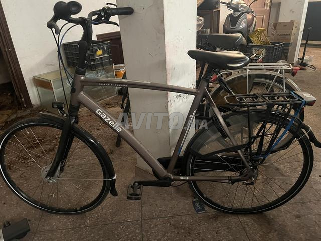 Chamonix C7 Gazelle Confort