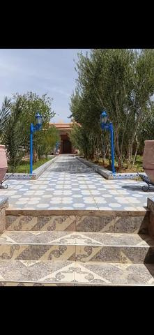 مزرعة للبيع في زاكورة - 2