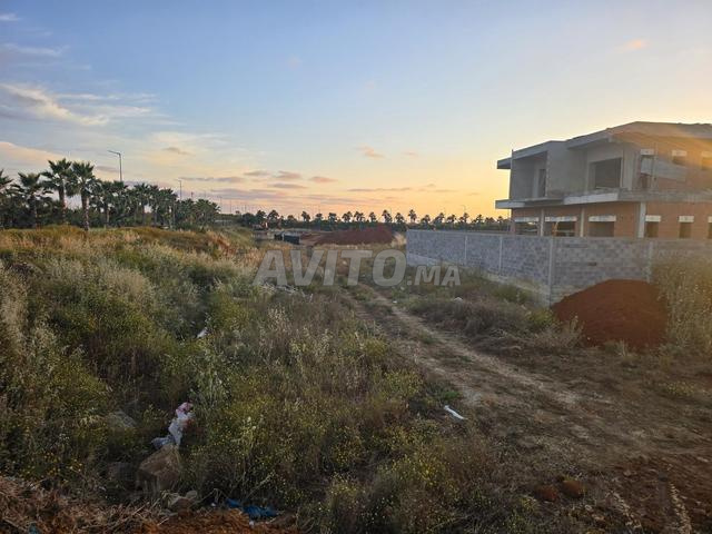 Terrain pour villa à El Mansouria 5500 /m2