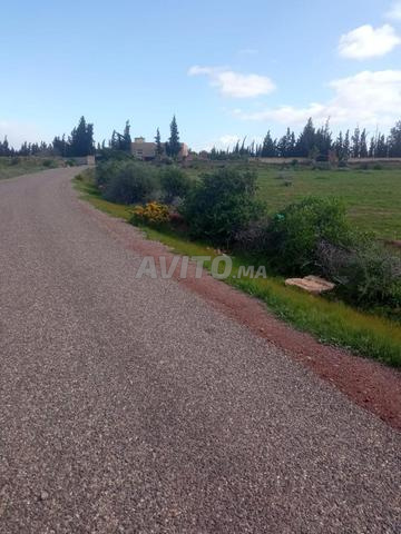 أرض 2300 متر مربع - 2