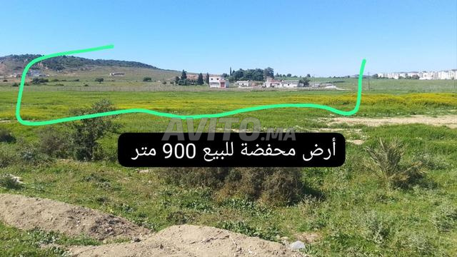 ارض محفضة نادية ورقات كلشي مريغل لبغها يتصل 