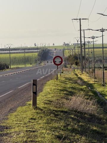 1 HECTARE A VENDRE - 2