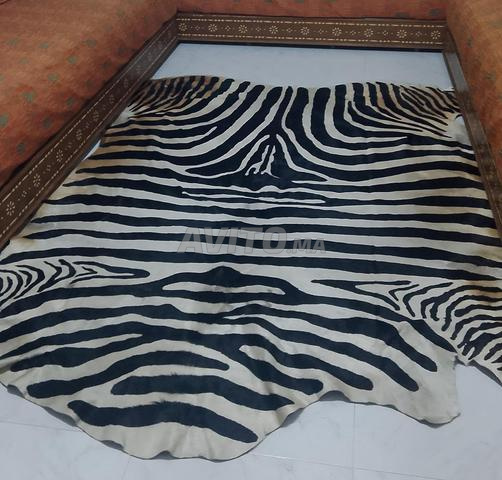 سجادة حمار وحشي 🦓