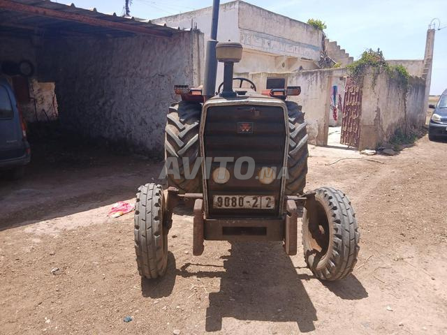 Sidi Bennour - 2