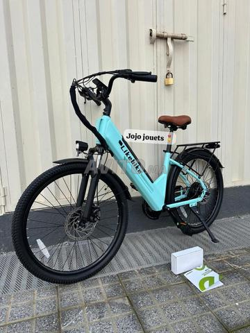 Vélo électrique volé - 2