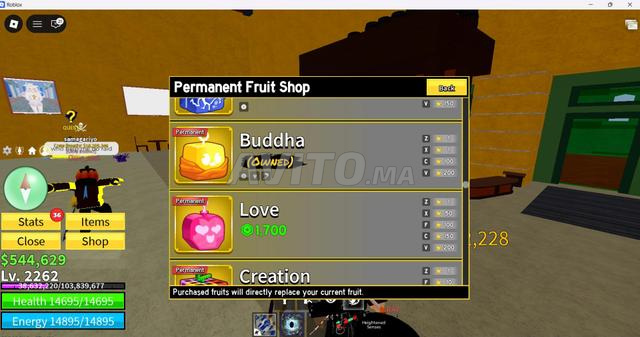 Vends compte Blox Fruits fruits permanents Buda et Portal x2 argent et maîtrise - 2