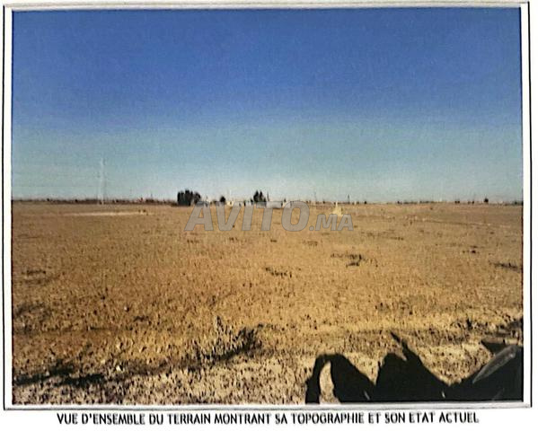 Terrain titré, idéal exploitation/placement